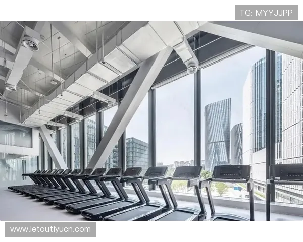 V+体育馆：打造多功能综合体育馆的先进建设方案