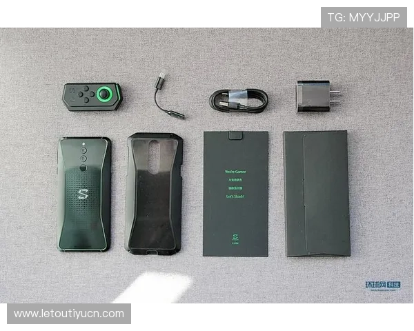 乐投letou官方网站的手机端登录体验与操作指南