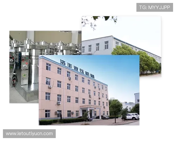 乐投letou瑞丰：客户服务体系与常见问题解答