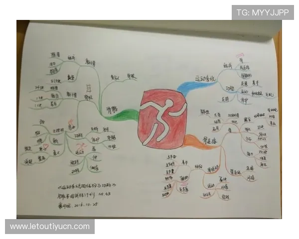 天梭体育app与其他运动类应用的比较分析与优势